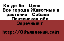 Ка де бо › Цена ­ 25 000 - Все города Животные и растения » Собаки   . Пензенская обл.,Заречный г.